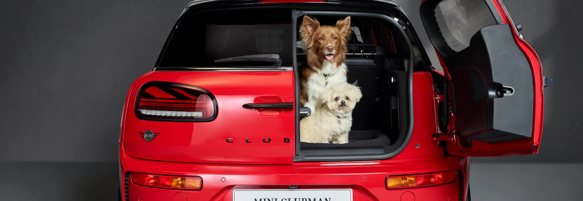 Best cars for dog owners 2021 (1) 